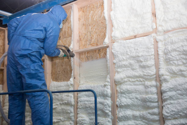 Types of Insulation We Offer in Darien, IL